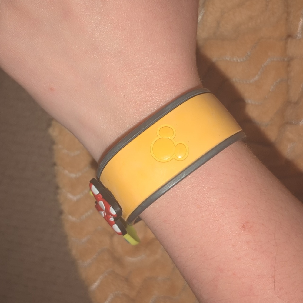 Collector Magic band from Disney